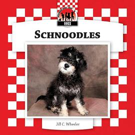 Schnoodles pdf epub mobi 电子书 下载