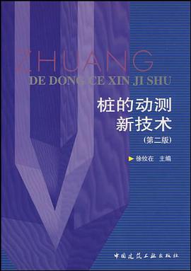 桩的动测新技术 pdf epub mobi 电子书 下载