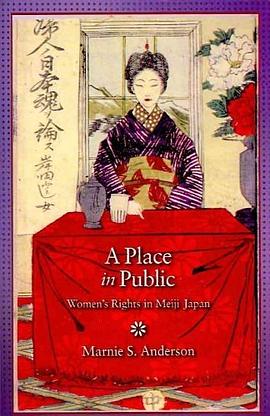 A Place in Public pdf epub mobi 电子书 下载