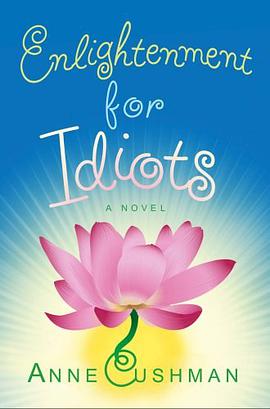 Enlightenment for Idiots pdf epub mobi 电子书 下载