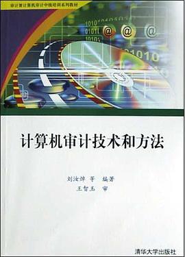 计算机审计技术和方法