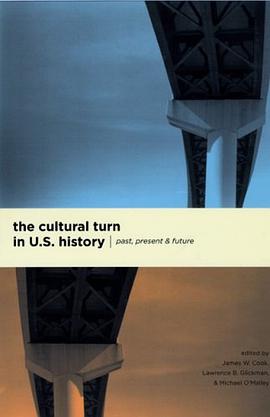 The Cultural Turn in U.S. History