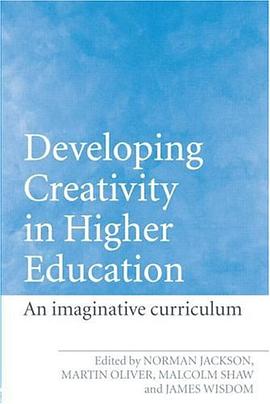 Developing Creativity in Higher Education pdf epub mobi 電子書 下載