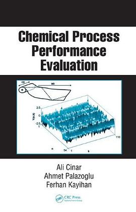 Chemical Process Performance Evaluation pdf epub mobi 电子书 下载