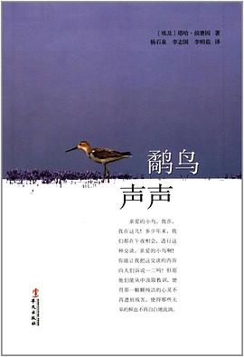鹬鸟声声 pdf epub mobi 电子书 下载