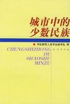 城市中的少數民族 pdf epub mobi 下载