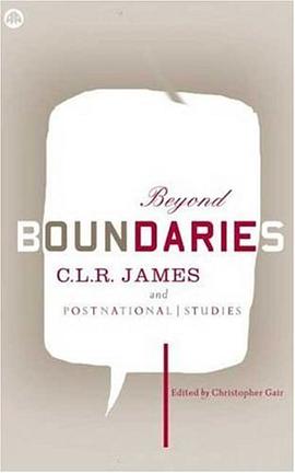 Beyond Boundaries pdf epub mobi 电子书 下载