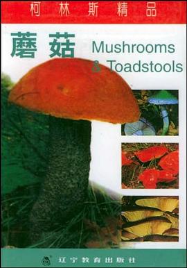 柯林斯精品