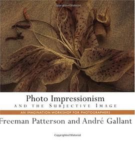 Photo Impressionism and the Subjective Image pdf epub mobi 电子书 下载