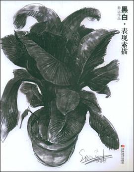 黑白表现素描 pdf epub mobi 电子书 下载