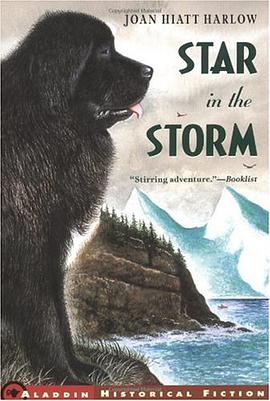 Star in the Storm pdf epub mobi 电子书 下载