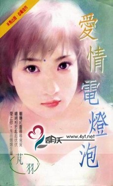 爱情电灯泡 pdf epub mobi 电子书 下载