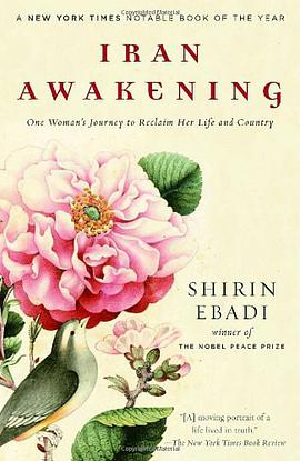 Iran Awakening pdf epub mobi 电子书 下载