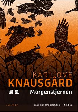 晨星 pdf epub mobi 电子书 下载