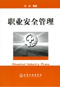 职业安全管理 pdf epub mobi 电子书 下载