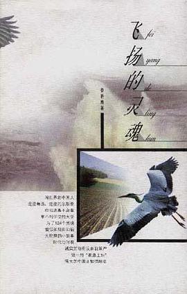 飞扬的灵魂 pdf epub mobi 电子书 下载