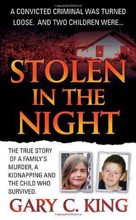 Stolen in the Night pdf epub mobi 电子书 下载