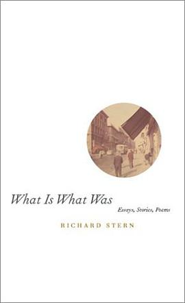 What Is What Was pdf epub mobi 电子书 下载