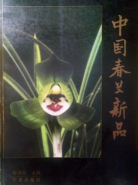 中国春兰新品