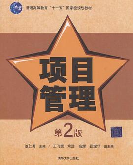 项目管理 pdf epub mobi 电子书 下载