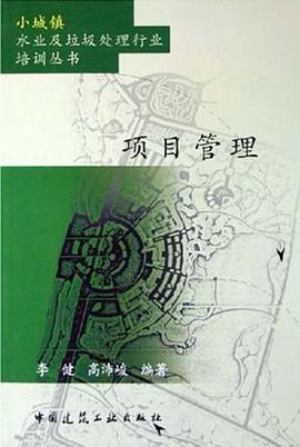 项目管理 pdf epub mobi 电子书 下载