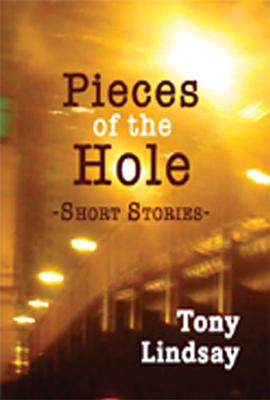 Pieces of the Hole pdf epub mobi 電子書 下載