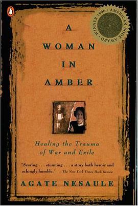 A Woman in Amber pdf epub mobi 电子书 下载