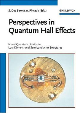 Perspectives in Quantum Hall Effects pdf epub mobi 电子书 下载