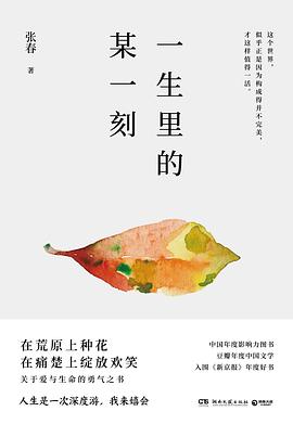 一生里的某一刻（2020版） pdf epub mobi 电子书 下载