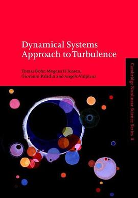 Dynamical Systems Approach to Turbulence (Cambridge Nonlinear Science Series) pdf epub mobi 电子书 下载