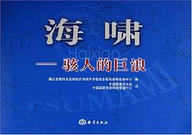 海啸 pdf epub mobi 电子书 下载