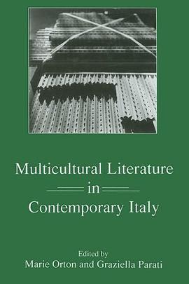 Multicultural Literature in Contemporary Italy pdf epub mobi 電子書 下載