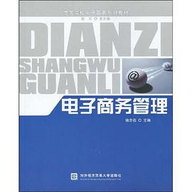 电子商务管理 pdf epub mobi 电子书 下载