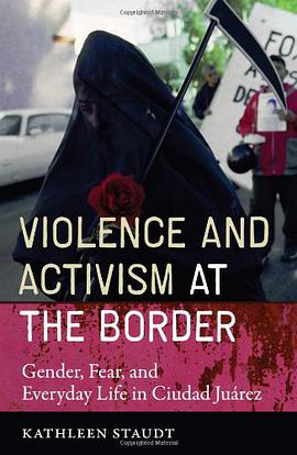 Violence and Activism at the Border pdf epub mobi 下载