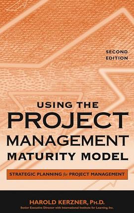 Using the Project Management Maturity Model pdf epub mobi 电子书 下载