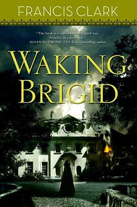 Waking Brigid pdf epub mobi 电子书 下载