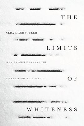 The Limits of Whiteness pdf epub mobi 电子书 下载