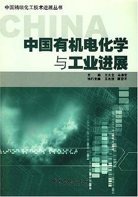 中国有机电化学与工业进展 pdf epub mobi 电子书 下载