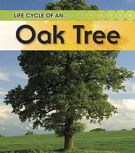 oak tree