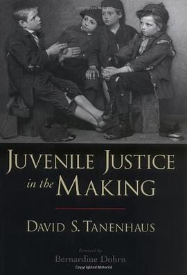 Juvenile Justice in the Making pdf epub mobi 电子书 下载