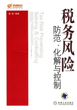 税务风险 pdf epub mobi 电子书 下载