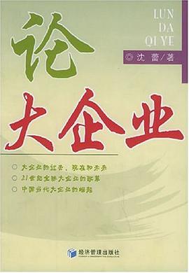 论大企业 pdf epub mobi 电子书 下载