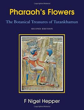 Pharaoh's Flowers pdf epub mobi 电子书 下载