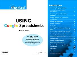 Using Google Spreadsheets pdf epub mobi 电子书 下载