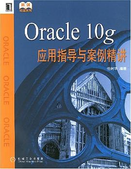 Oracle 10g应用指导与案例精讲 pdf epub mobi 电子书 下载