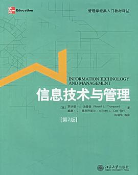 信息技术与管理 pdf epub mobi 电子书 下载