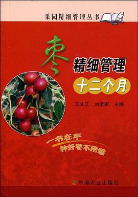 枣精细管理十二个月 pdf epub mobi 电子书 下载