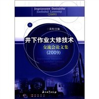 井下作业大修技术交流会论文集 pdf epub mobi 电子书 下载