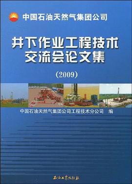 井下作业工程技术交流会论文集 pdf epub mobi 电子书 下载