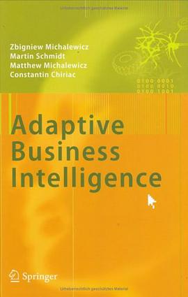 Adaptive Business Intelligence pdf epub mobi 电子书 下载